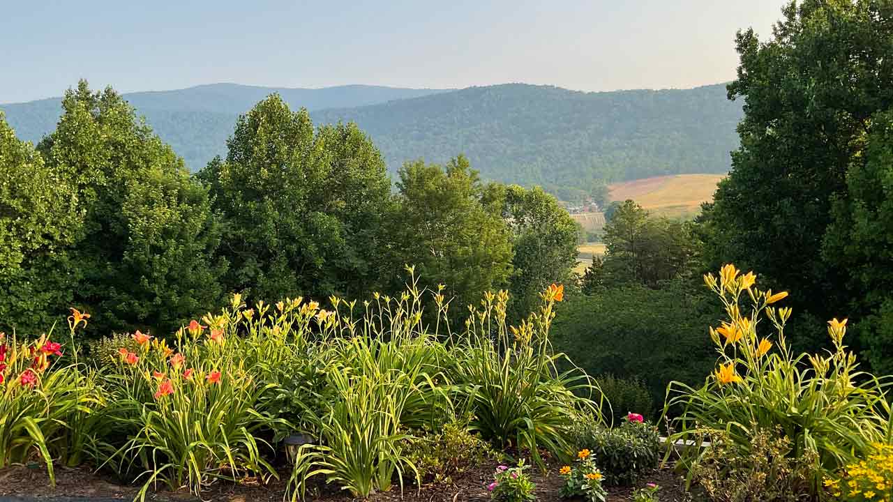 121 Lexington Ct flower beds by master gardner